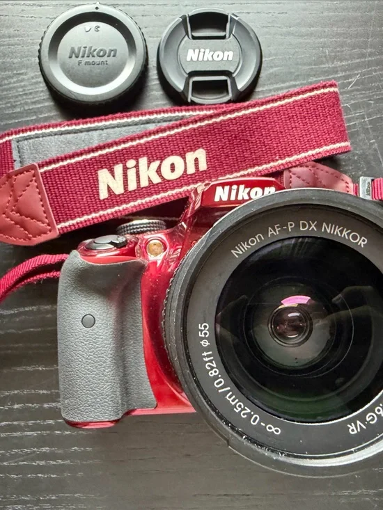 Nikon Camera D3400 & Gray Dual-Lens Padded Camera Case with Shoulder Strap