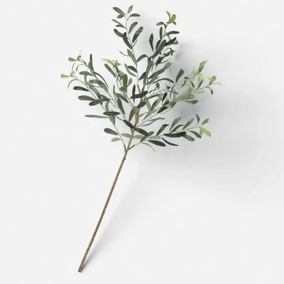 41.5” Olive Branch Threshold