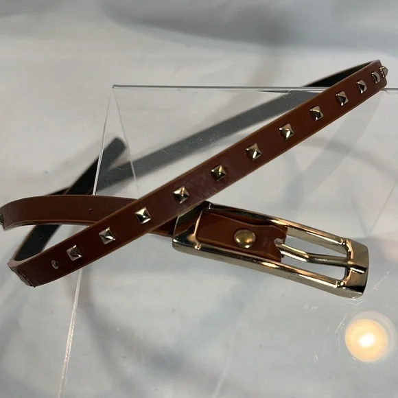 Thin brown belt with gold buckle & embellishments