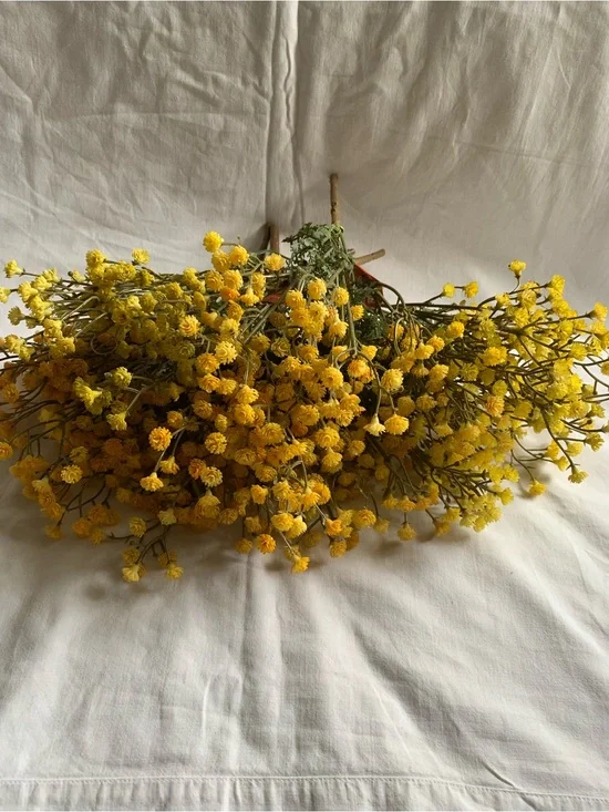 NWT Bundle of 8, 11 in Ashland Yellow Gypsophila Flowers