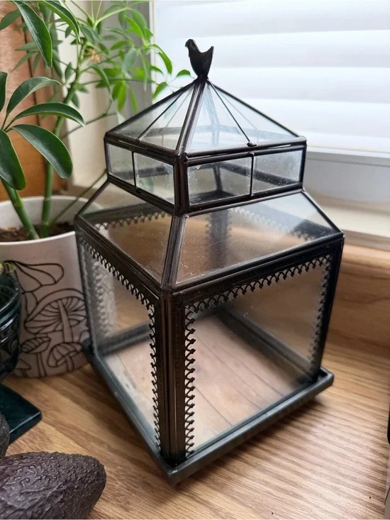 Glass Terrarium Display Case Bird Finial Black Metal Cloche 11” Removable Base