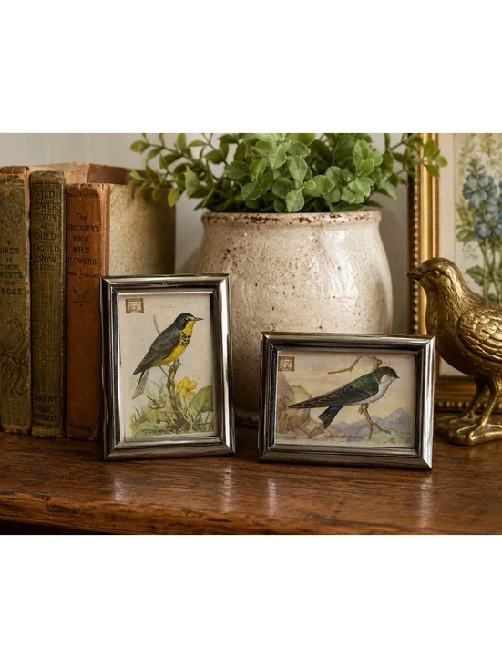 Vintage Mini Bird Prints in Silver Tone Frames Set of 2 Dwight’s Soda Card Art