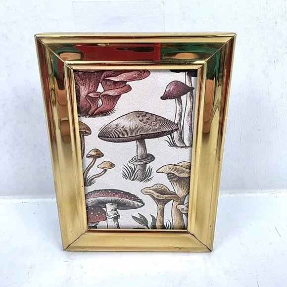 Vtg Brass Frame‎ Mushroom Art Print Velvet Back Glass Front 3.75