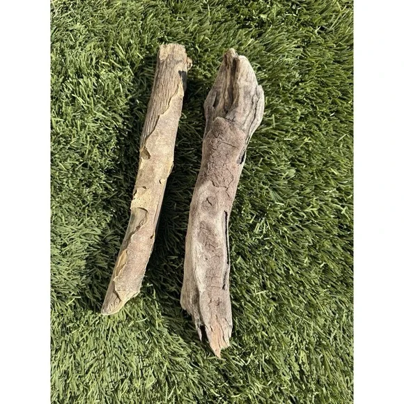 DRIFTWOOD Pacific O Natural (2 Pieces) Snake Head Aquarium Terrarium Beach Decor