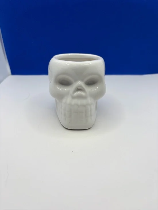 White Ceramic Skull Planter Cachepot Goth Halloween Succulent Pot
