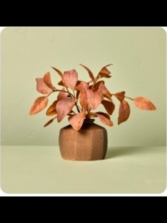 Hearth & Hand with Magnolia- 11