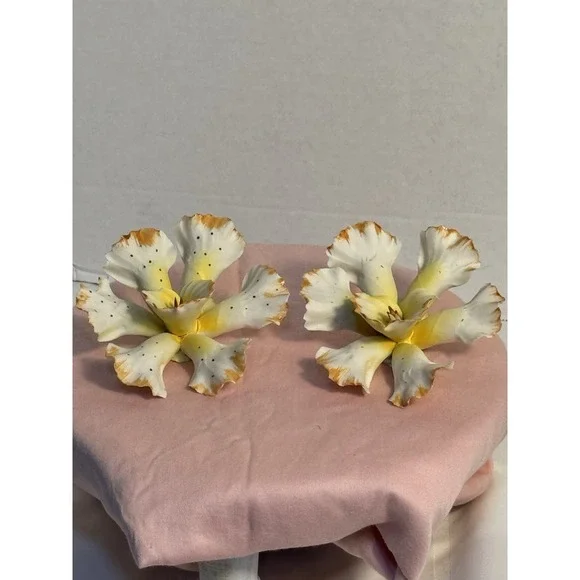 2 Vintage Capodimonte Porcelain Orchid‎ Flower Delicate Bisque Yellow & White