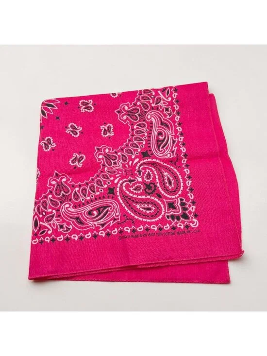 Hot Pink Paisley Bandana Hav-A-Hank 100% Cotton Square 21