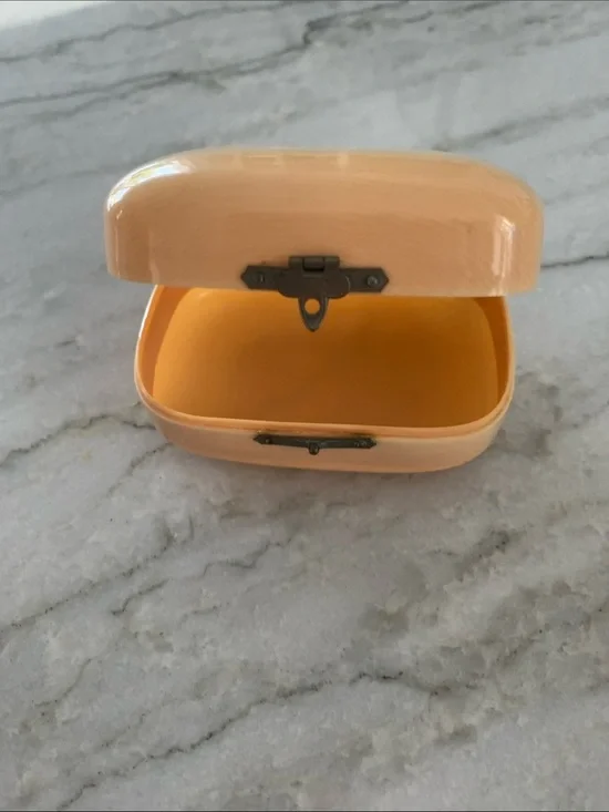 Vintage celluloid, hinged soap box.