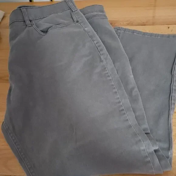 IRON CO. Men Gray Pants 40/30
