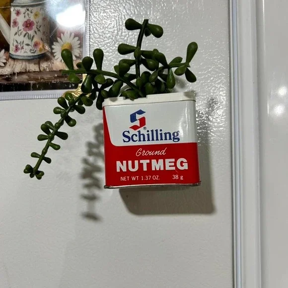 Vintage spice tin with greenery refrigerator magnet.