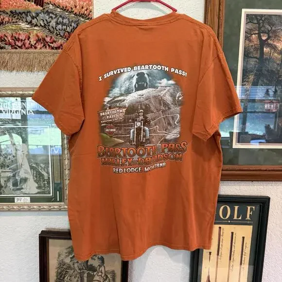 Vintage 00s Harley Davidson Motorcycles‎ Beartooth Pass Montana Shirt Size XL