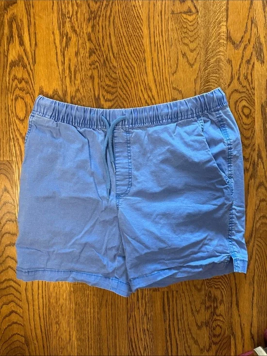 Izod Saltwater Light Blue Men's Casual Drawstring Shorts size Small Inseam 7”
