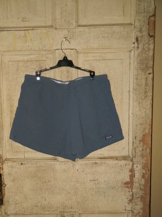 Patagonia Baggies Blue Nylon Shorts 4.5