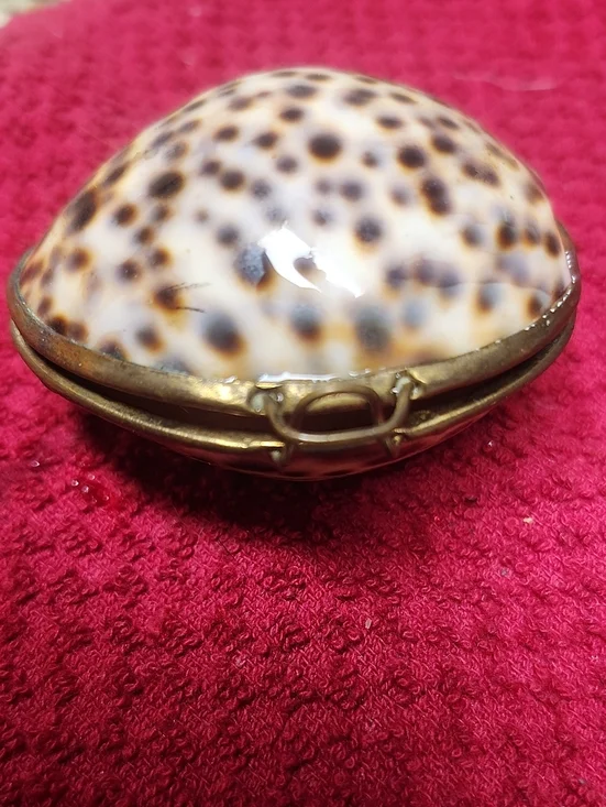 Vintage Shell Clam Compact Trinket Case - Brown Speckled
