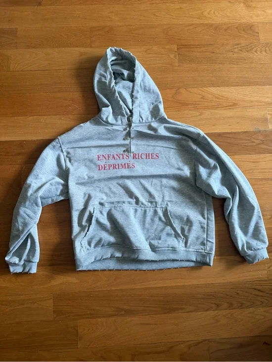 ERD grey hoodie