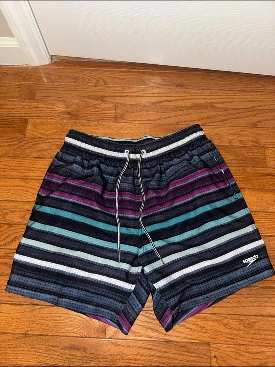 Speedo Men’s Striped Swim Shorts