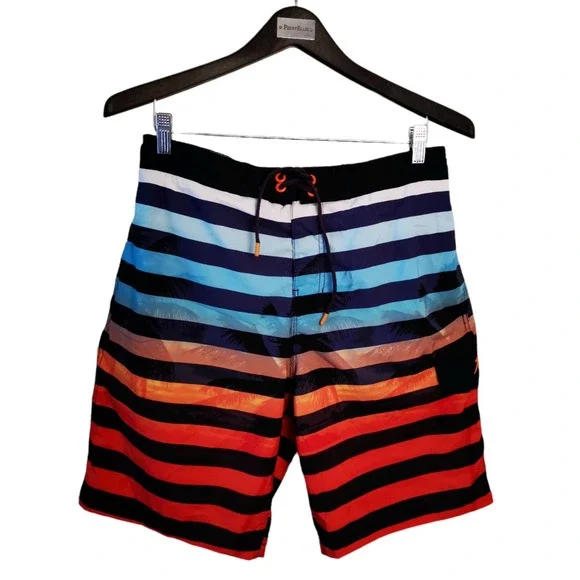 Speedo Multicolor striped Surf Board Men's shorts Size Medium 32 x 9 in inseam