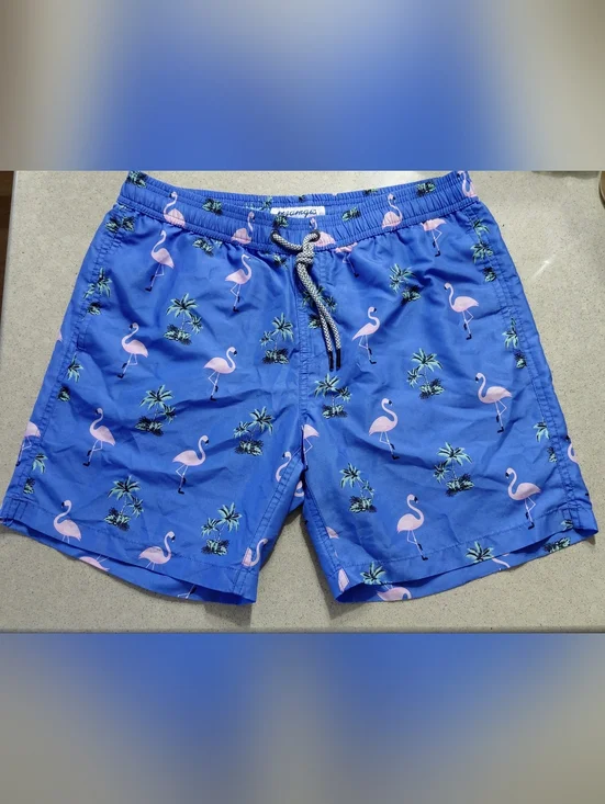 Flamingo Print Swim Trunks - Blue & Pink