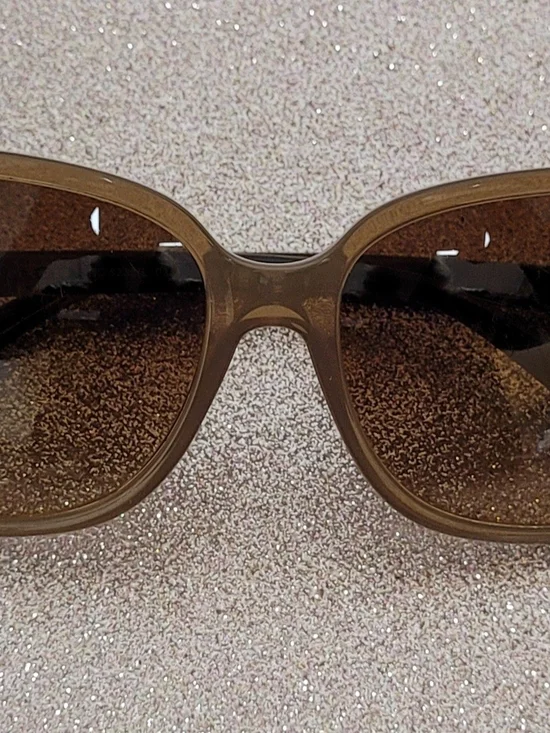 Coach Women's Brown Transparent Frame Sunglasses with Brown Lenses