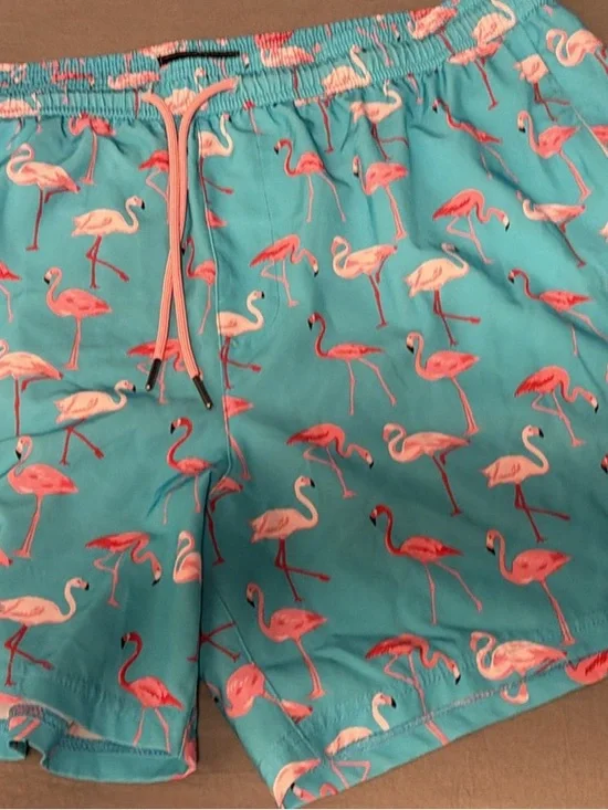 Men's Flamingo Print Swim Trunks - Turquoise/Pink