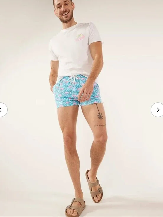 Chubbies Lined Classic Swim Trunk - The Domingos Are For Flamingos 4
