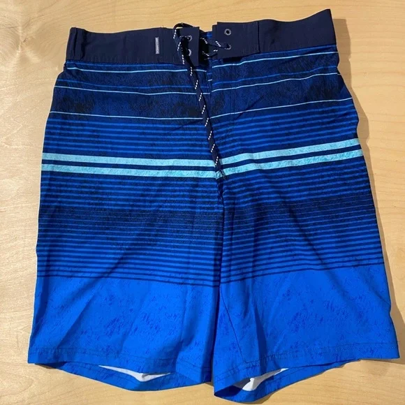 Ocean Coast Men's Blue Striped Swim Shorts Large (C)
