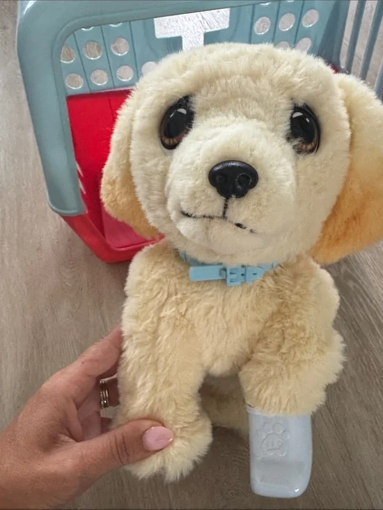 Little live pet hurt dog