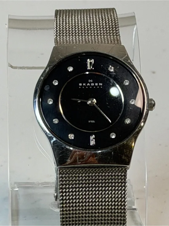 Skagen Denmark 233SSSBD Mesh Watch - Working