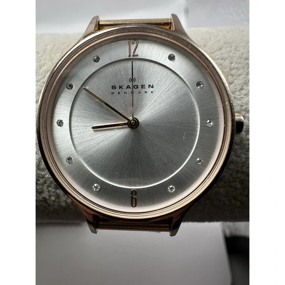 Skagen SKW2151 Ladies Watch Anita New Battery 30MM 8