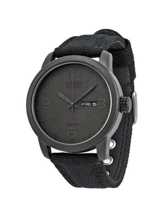 NWT Citizen Eco-Drive Black Dial Men's Watch