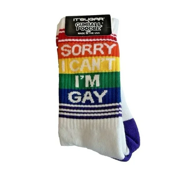 NWT It's Sugar Rainbow Sorry I Can't I'm Gay LGBTQIA‎ Pride Striped Crew Socks