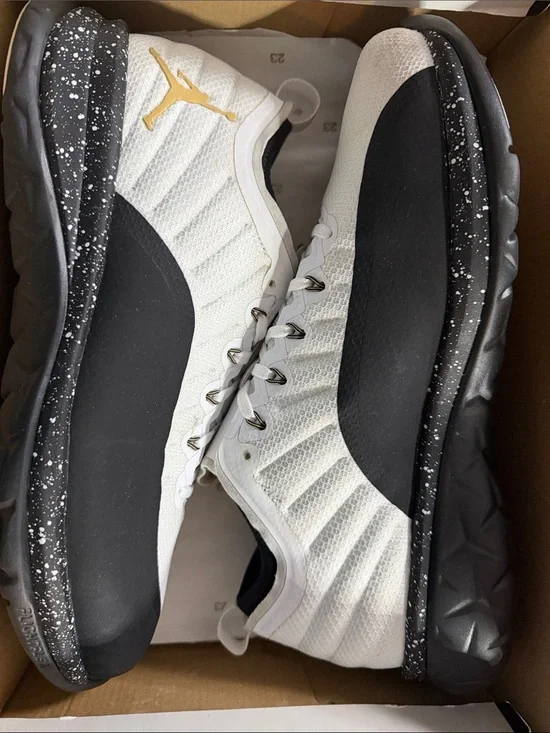 Jordan 12 Trainer Prime