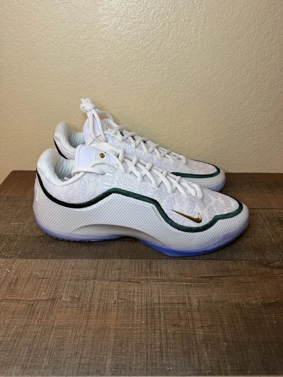 Nike LeBron XXIII “From This Point Forward”  - Size 14 Men.