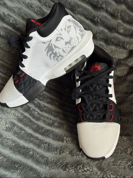 Nike LeBron Witness 8 men’s size 10.5