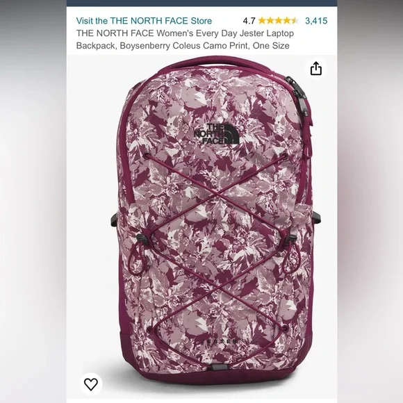 The North Face Jester Every Day Backpack