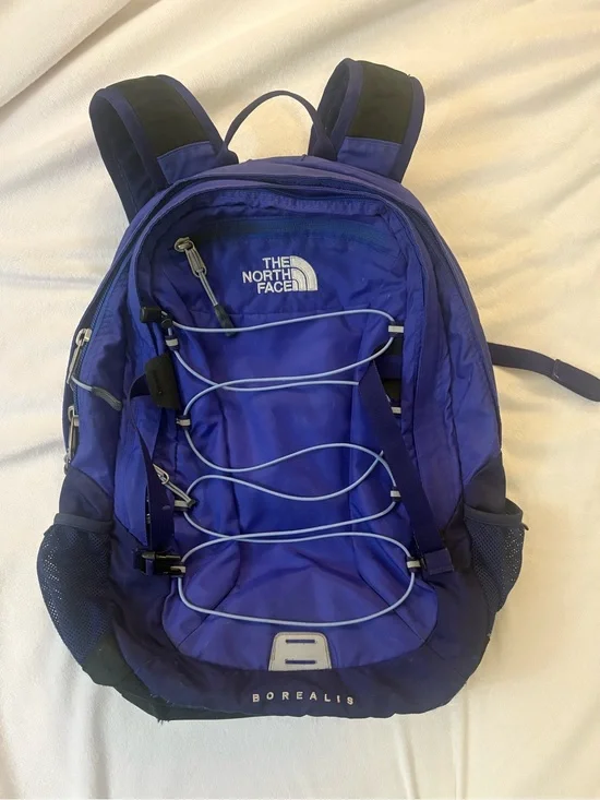 North Face Borealis Backpack in Deep Blue / Purple