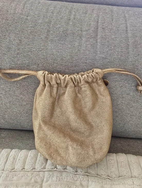 Clare V. Gold Pouch Bag