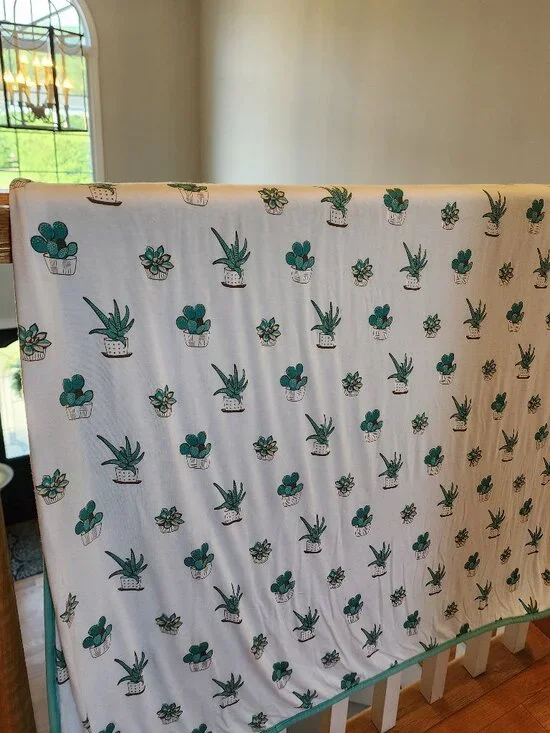 Kyte baby toddler succulent blanket