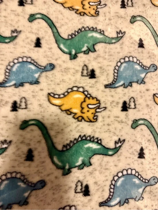 Dino Baby Blanket