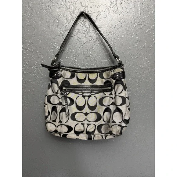 Coach Y2K Daisy Hobo Bag