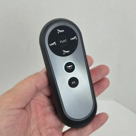 Richmat HJH158 Adjustable Bed Remote Control 8H157B003 Malouf Structures E455