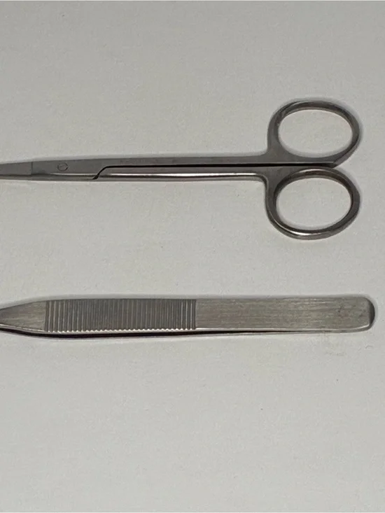 Stainless Steel Grooming Scissors and Tweezers Set - Silver