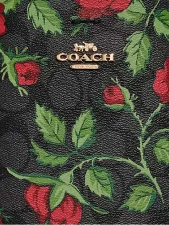 LIKENEW COACH Mollie Bucket Bag & Mini Skinny ID Signature Canvas Fairytale Rose