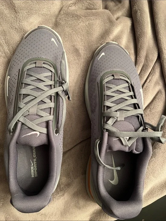 Nike Gray Air Max DN Sneakers