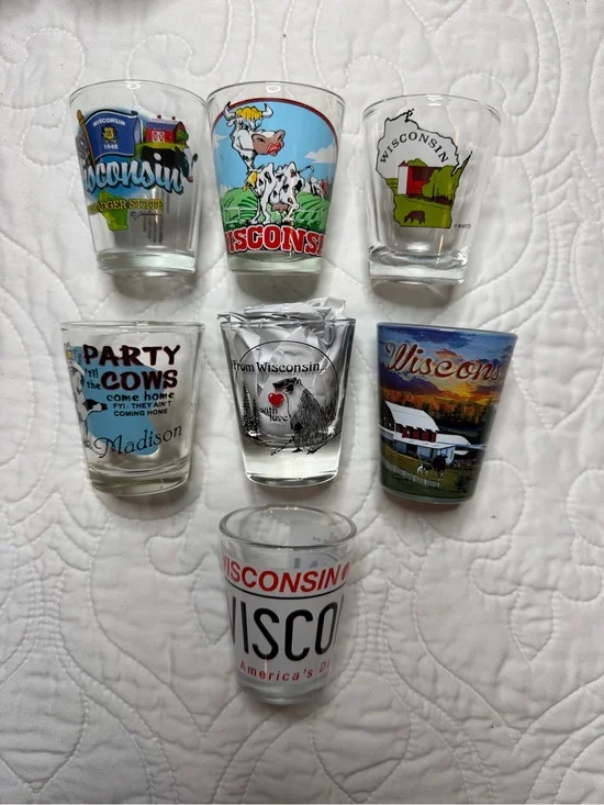 Wisconsin Souvenir Shot Glass Lot - Colorful State Designs