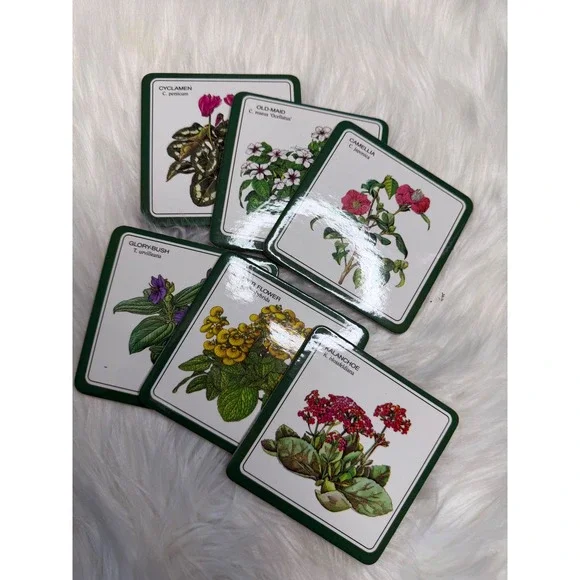 Vintage - Floral Botanical Illustration Coasters - Set of 6