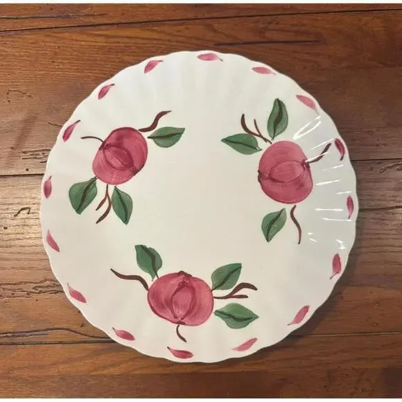 Vintage Blue Ridge Southern Pottery Hand-Painted 9 1/4