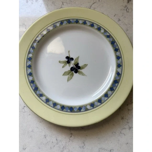 ROYAL DOULTON Carmina Salad Appetizer Plate 9
