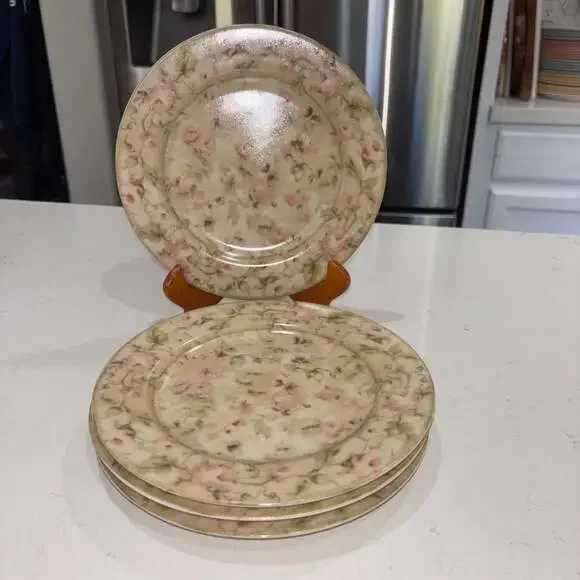 222 Fifth Savannah by Cheri Blum Stoneware Salad Plates Set of 4